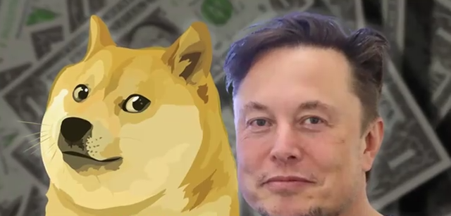 Собака количественно.